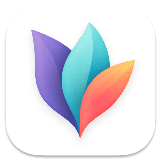 Mindnode Next Icon