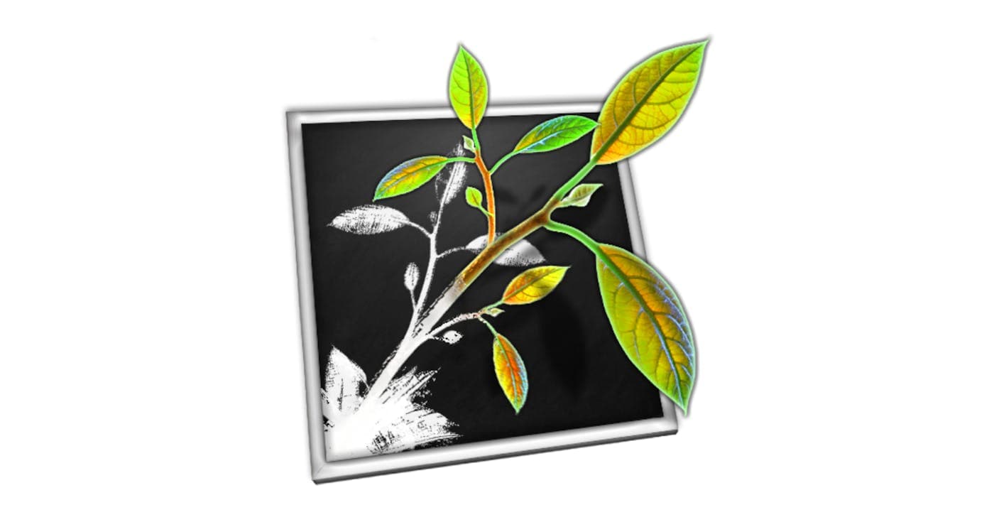 The Road to MindNode 1.0